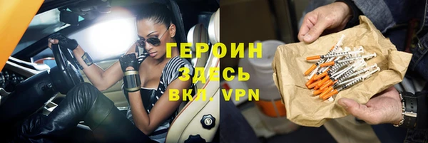 МДПВ Дмитриев