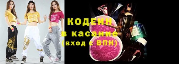 прущие грибы Дмитров