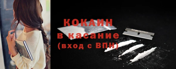 прущие грибы Дмитров