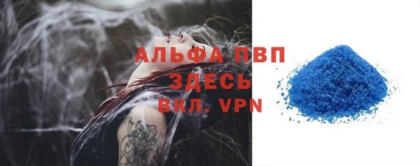 прущие грибы Дмитров
