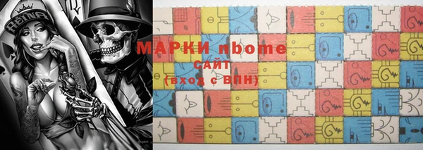 прущие грибы Дмитров