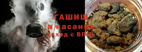 прущие грибы Дмитров