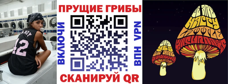 Галлюциногенные грибы Psilocybe  Купить закладки  Змеиногорск 